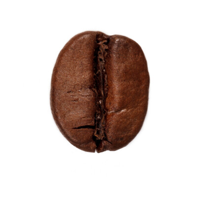 COFFEE EMBASSY | Обжарка